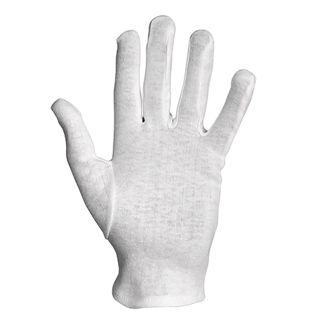 BIANCOSPINO GLOVES - High-Sensitivity - Breathable Cotton - Small Cuff - Pack of 12 Pieces - Image 1