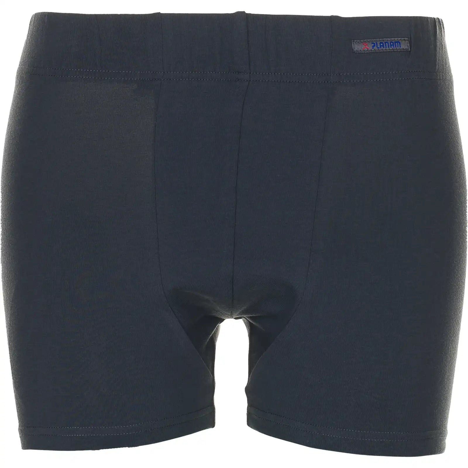 Planam Funktionsunterwäsche Shorts 190 g/m² grau 4XL grau - Vorschaubild