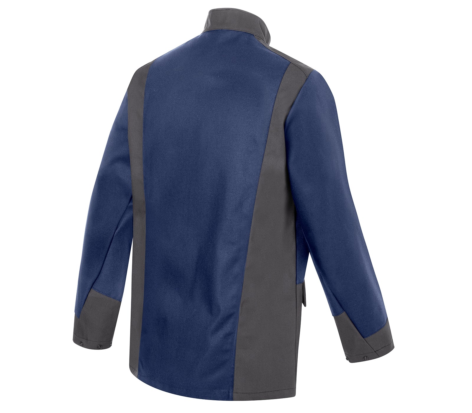 PSA SAFETY X COMPACT - Back View