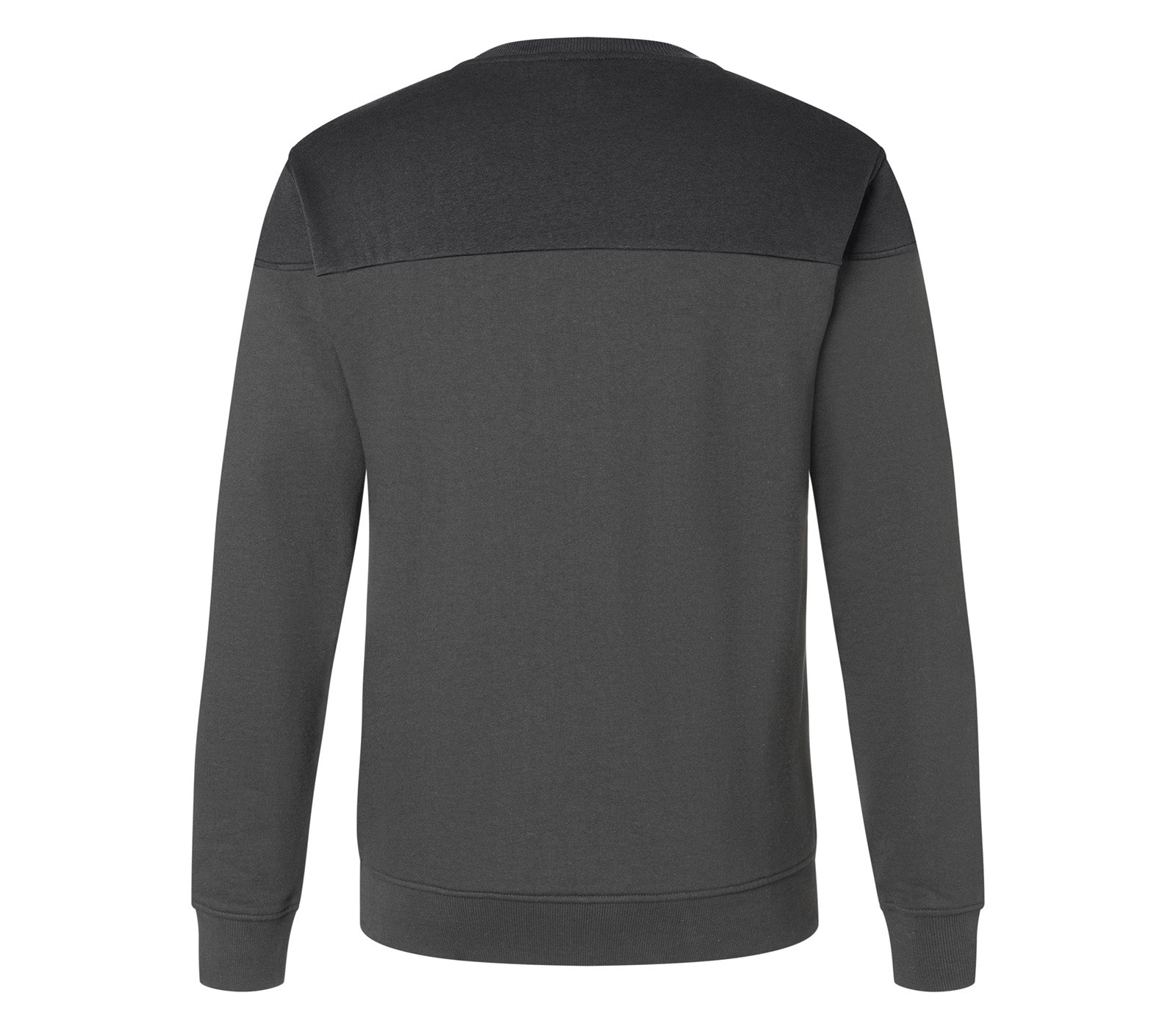 KÜBLER SHIRTS - Back View