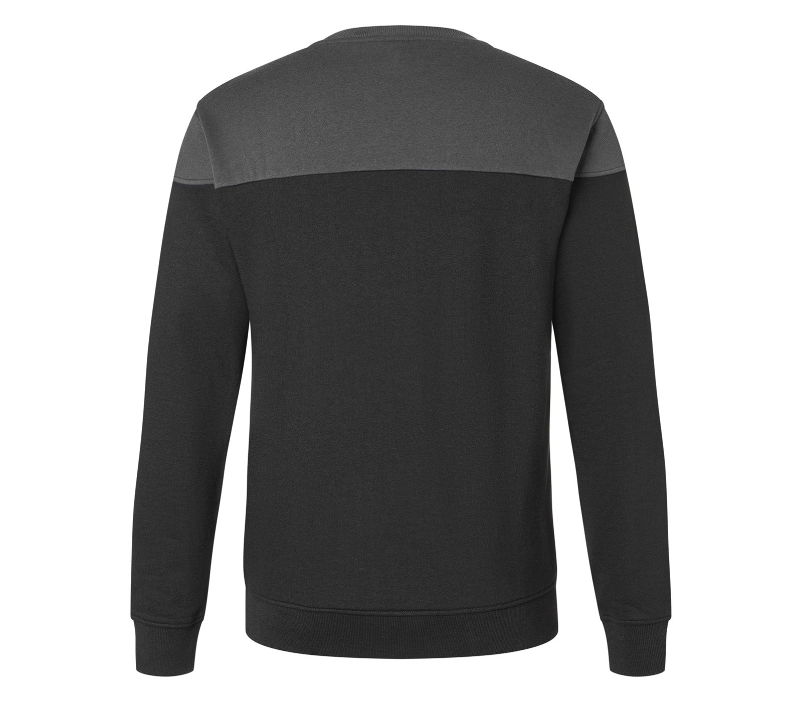 KÜBLER SHIRTS - Back View